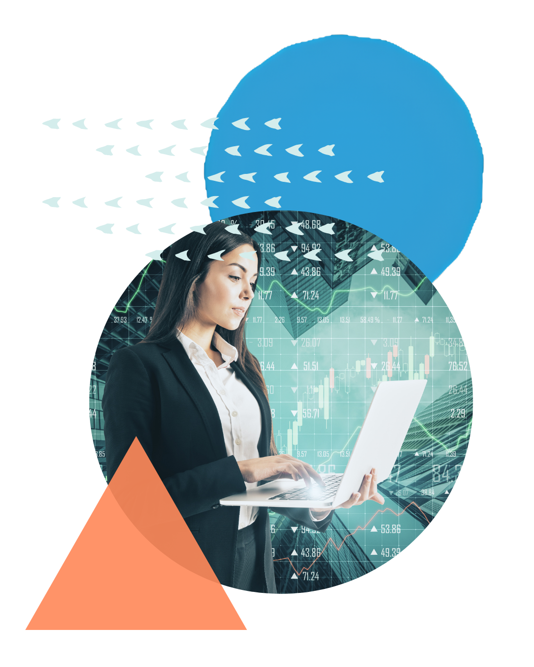 Bond Proceeds Circle Graphic