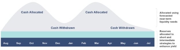 Investment Policy Statement Cash flow forecasting